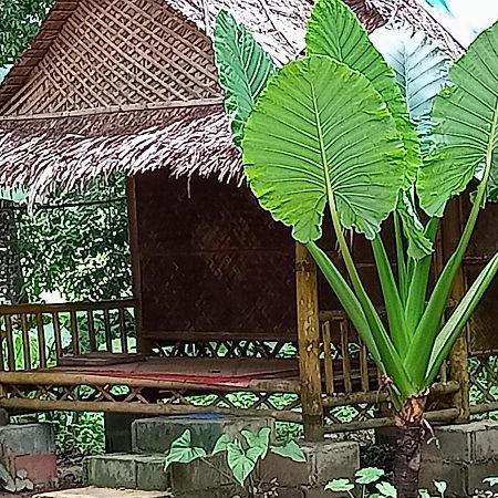 דירות Khao Sok National Park Khai Jungle Experience Camp & Tour מראה חיצוני תמונה
